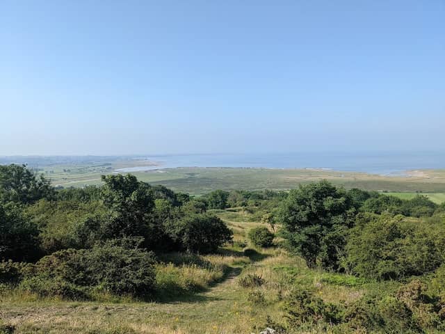 Warton Crag Local Nature Reserve - Image 2
