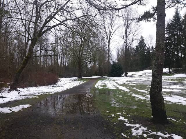 Cascade Park - Image 2