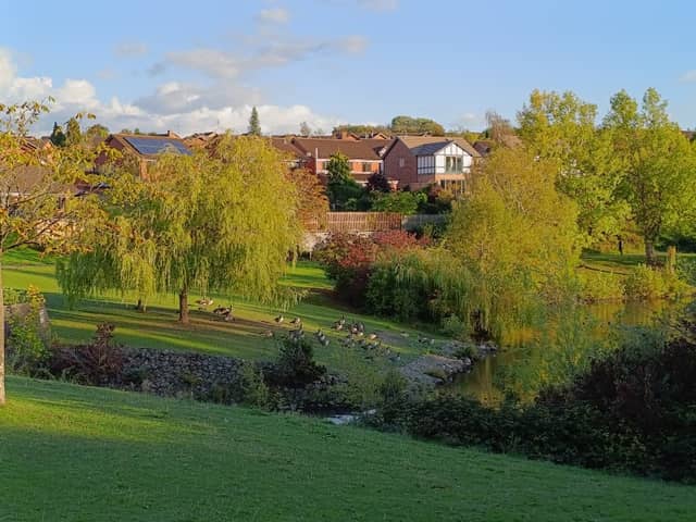Withymoor Lake - Image 1