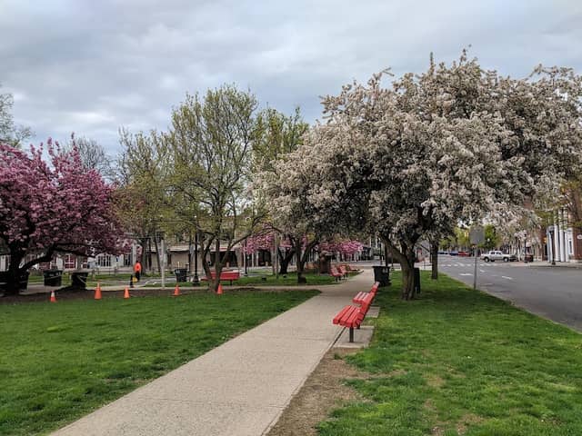 Latham Park - Image 2