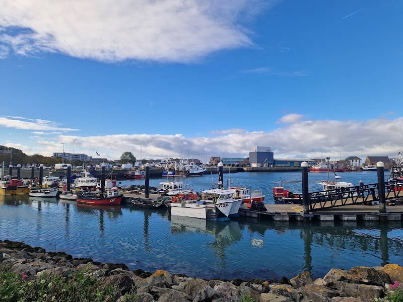Howth Pier Park - Image 2