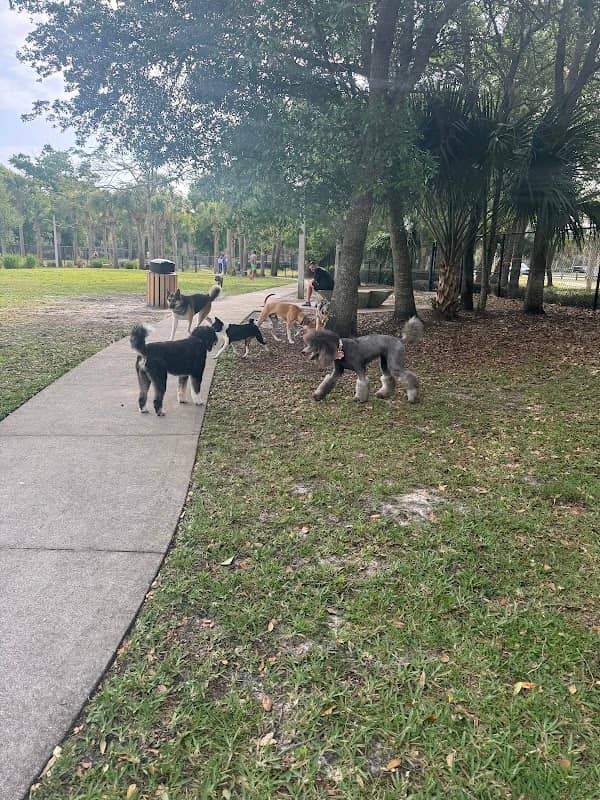 Cinquez Park - Image 1
