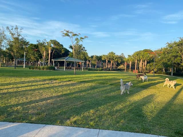 Cinquez Park - Image 2