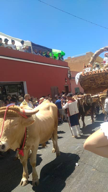 Romeria tegueste - Image 2