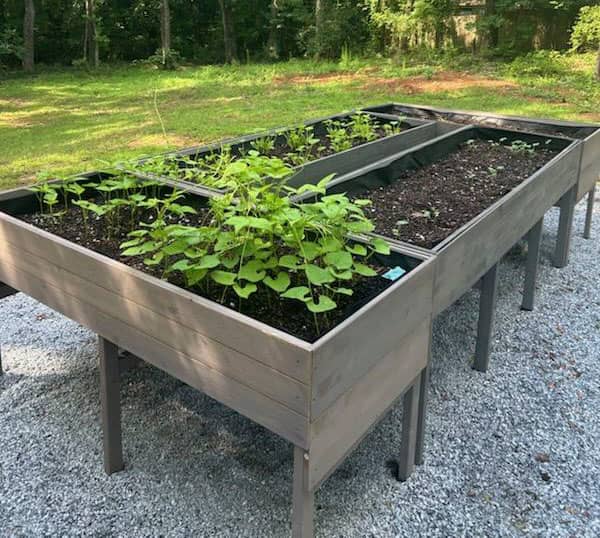 Athens community garden - Image 1