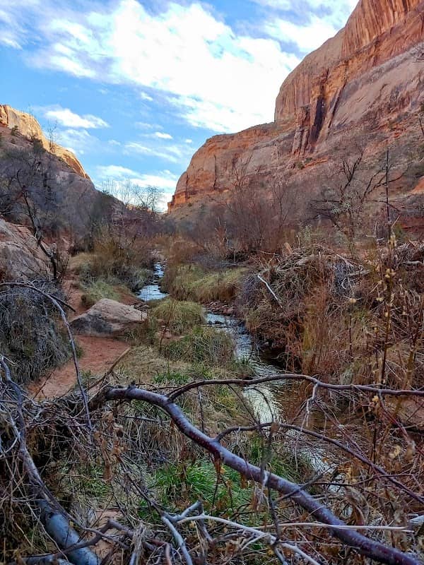Grandstaff Canyon Wilderness Study Area - Image 2