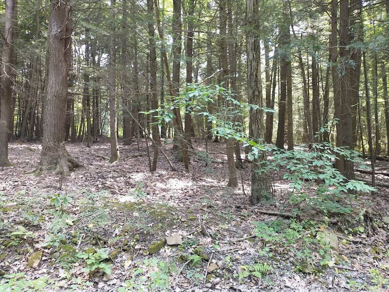 Lower Witmer Park - Image 1
