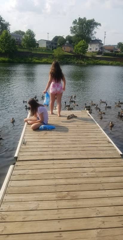 Lower Witmer Park - Image 2