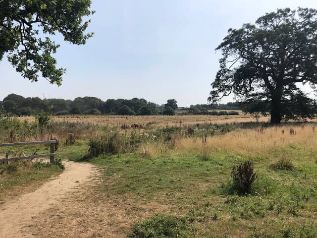 Piglittle Field - Image 2