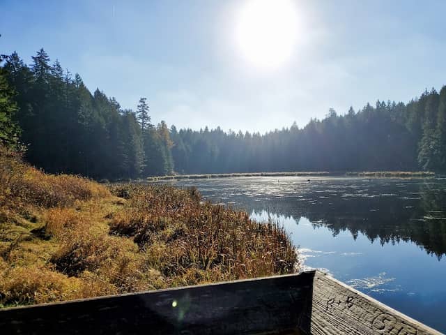 Hemer Provincial Park - Image 1