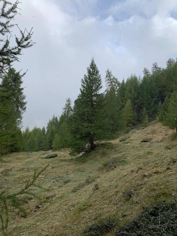 Baitel dal Plan dala Roinela di Taul - Image 1