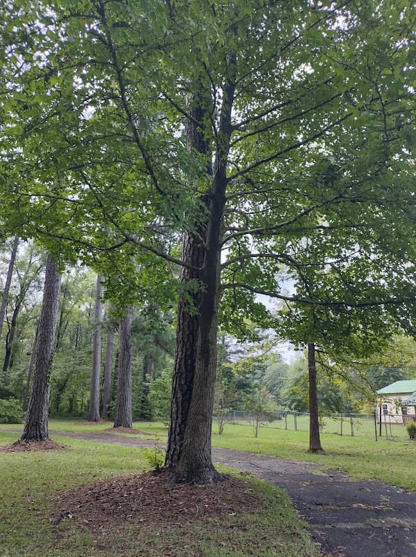 Community Park - Image 1