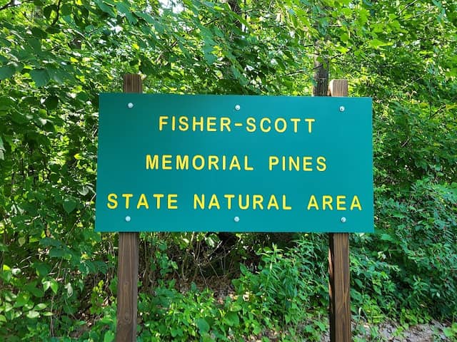 Fisher-Scott Memorial Pines Natural Area - Image 1