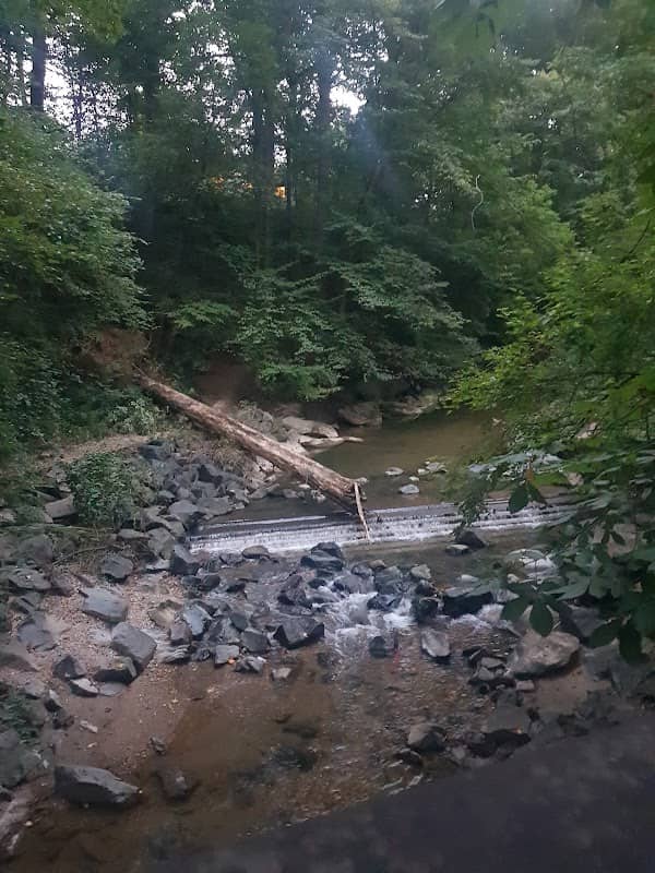 Sligo Creek Stream Valley Unit #1 - Image 1