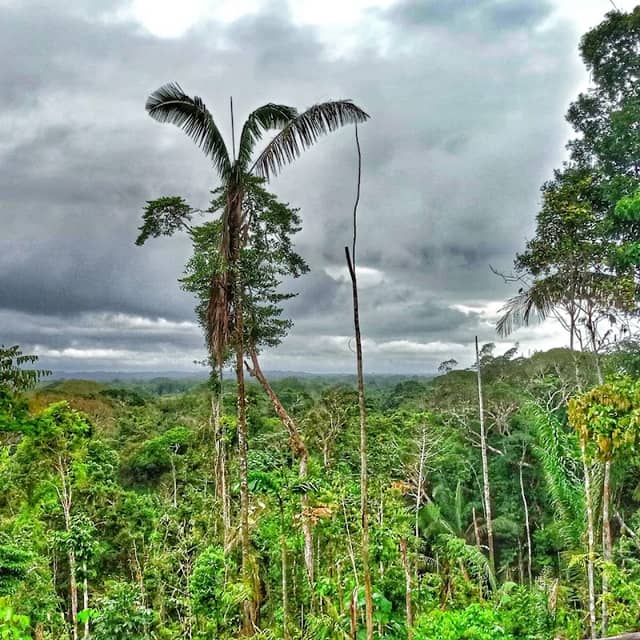 Finca Mirador Ëse Joro - Image 1