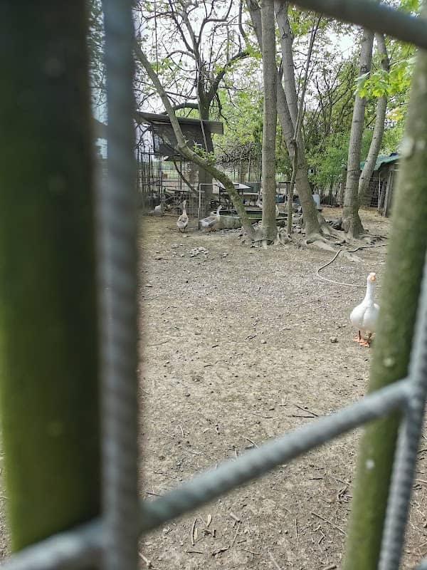 Zoo Fattoria Valentini - Image 1