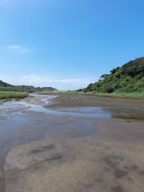 uMhlanga Lagoon Nature Reserve - Image 2