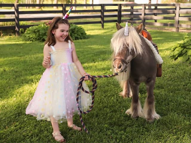 Deb's Pony Parties - Image 2