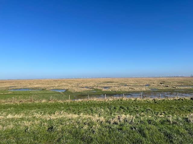 Drowned Land of Saeftinghe - Image 1
