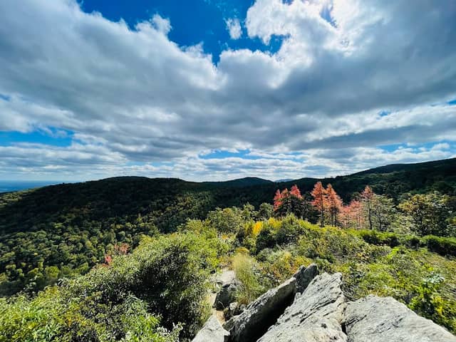 Hazel Mountain Overlook - Image 3
