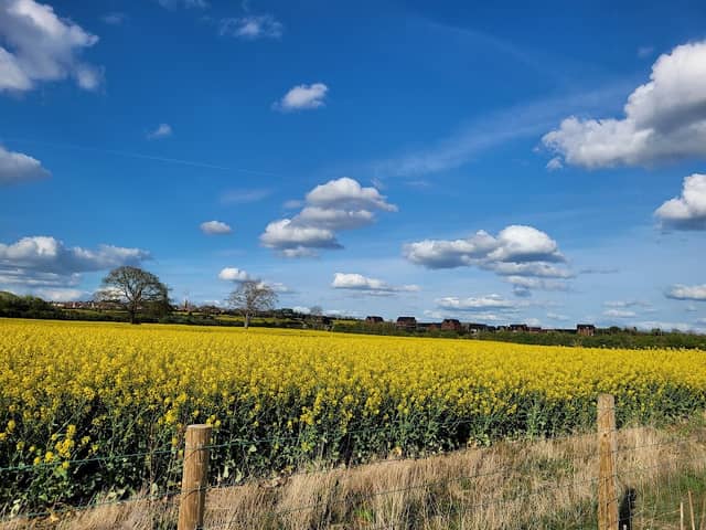 Upton Country Park - Image 2