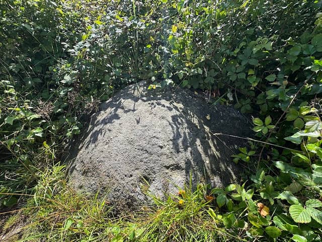 Knotties Stone Bronze Age Carved Rock (PRAWR 396) - Image 1