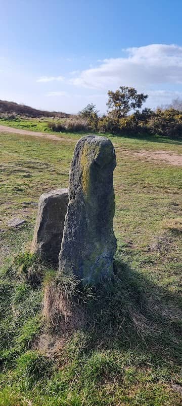 Knotties Stone Bronze Age Carved Rock (PRAWR 396) - Image 2