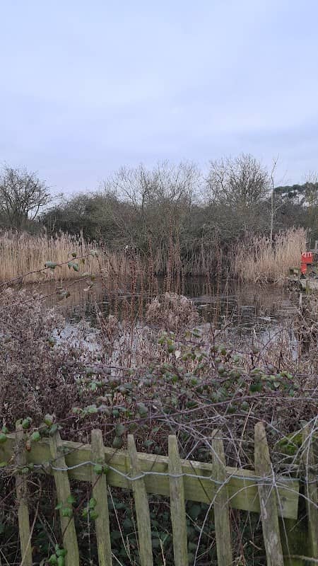Hollands Pond - Image 2