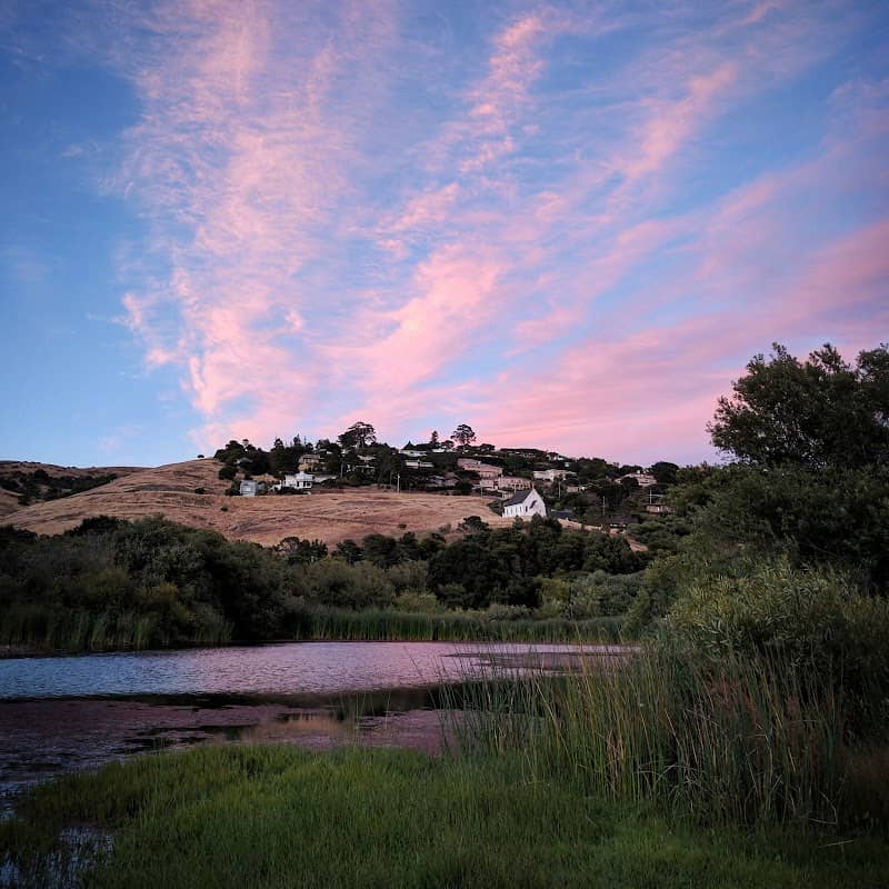 Tiburon Lagoon - Image 1