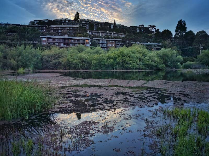 Tiburon Lagoon - Image 2