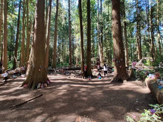 Redwood Park - Image 1