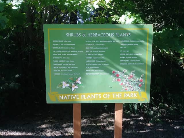 Millennium Memorial Park - Image 1