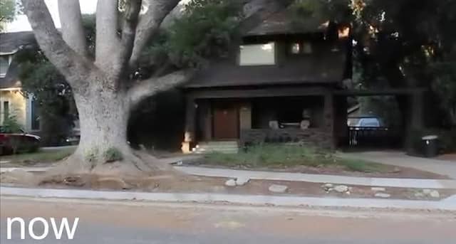 Lorraine House (BTTF) - Image 2