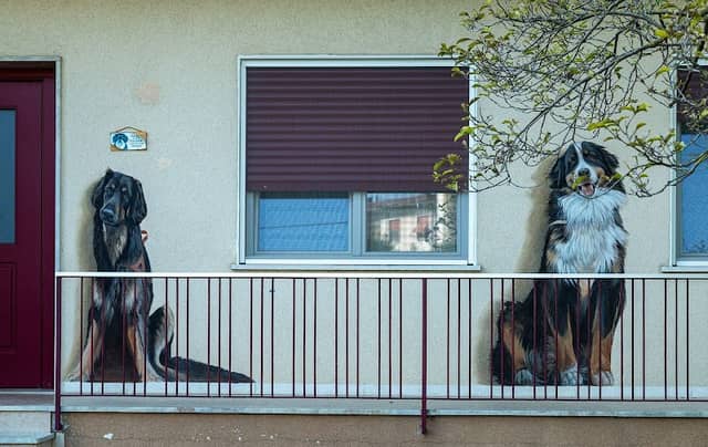 Coppia di Cani giganti di Giulio Masieri - Image 1