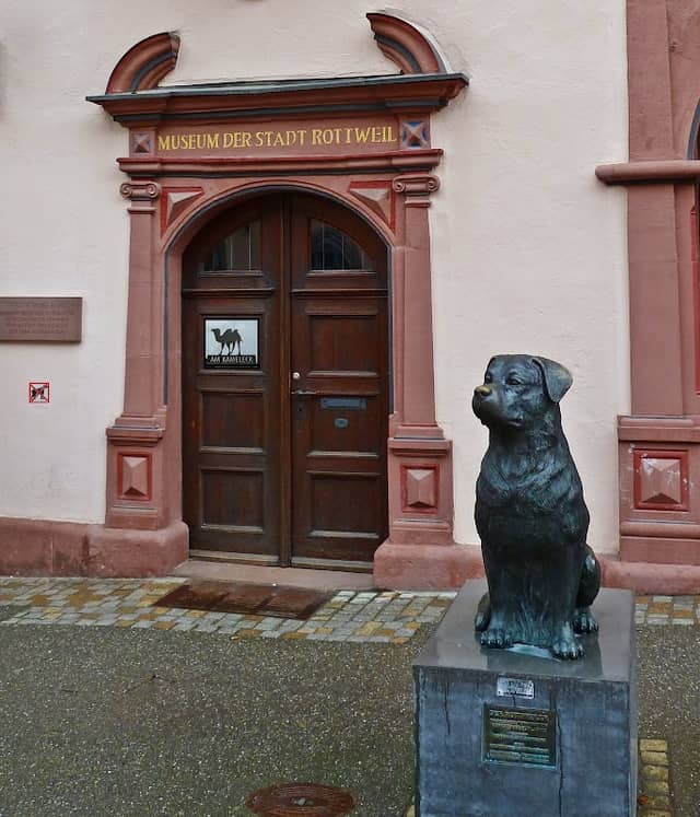 Stadtmuseum - Image 2