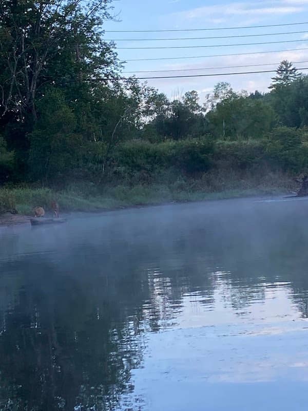 Indian Rocks Pond - Image 2