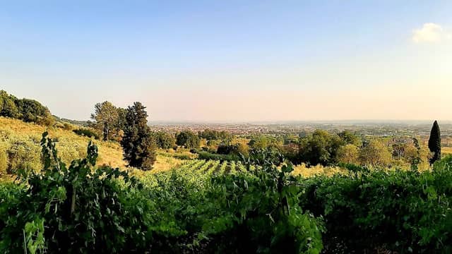 Poggio alla Guardia - Image 1