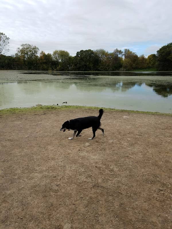 Echo Park - Image 2
