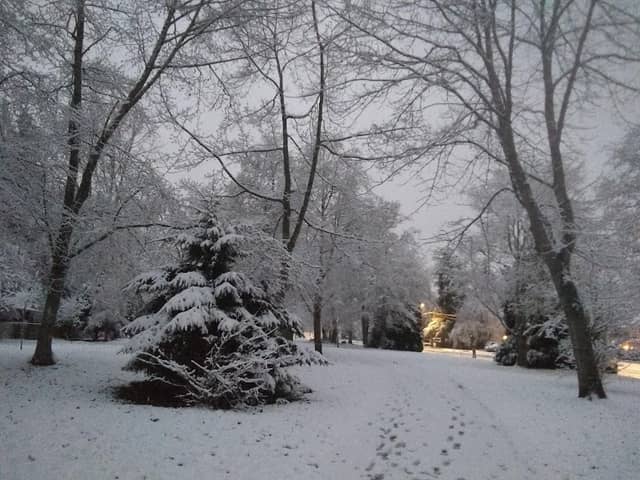 Maccaud Park - Image 2