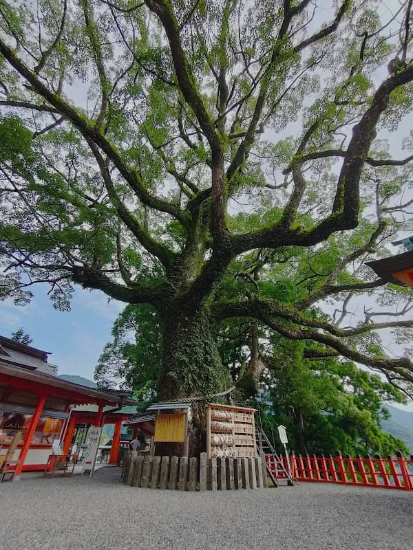 Kumano-Nachi Taisha Grand Shrine Hall of Worship - Image 3