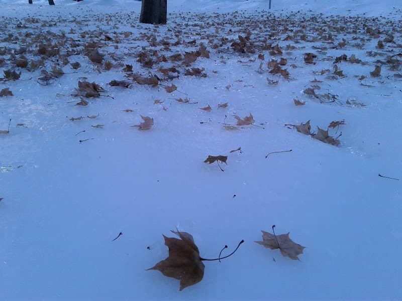 Baker Park - Image 2