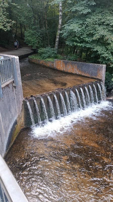 Treppen zum Hasselbachteich - Image 1