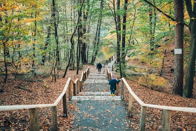 Treppen zum Hasselbachteich - Image 2