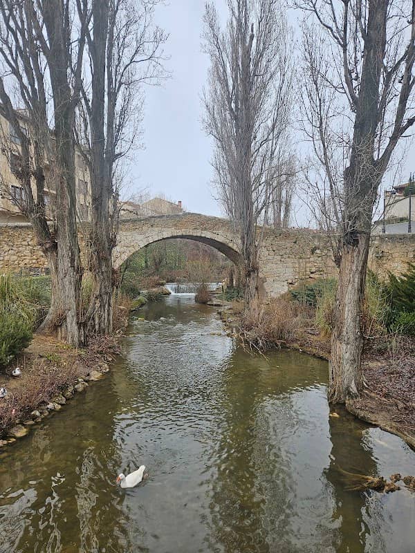 Puente medieval de las Tenerías - Image 1