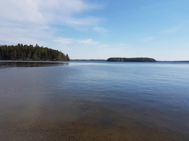 Eläinten uimaranta - Image 1