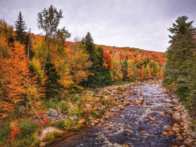 White Mountain National Forest - Image 3