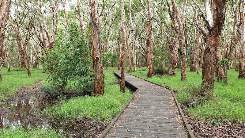 Kommo Toera Trail - Image 1