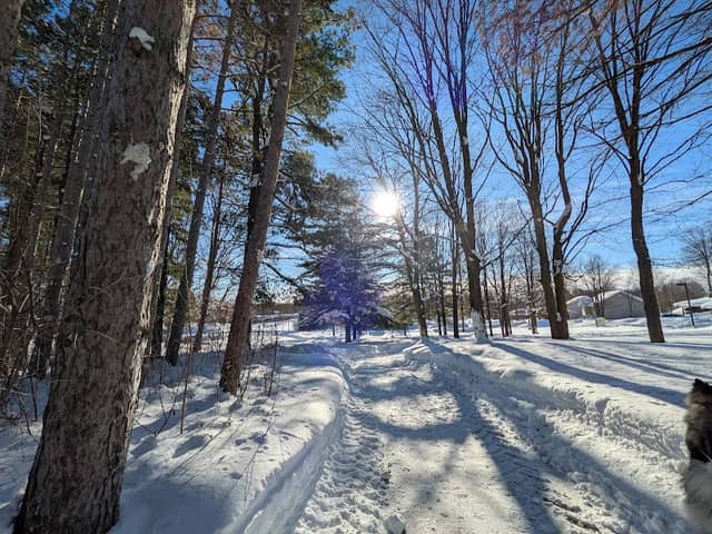 Homewood Park - Image 2