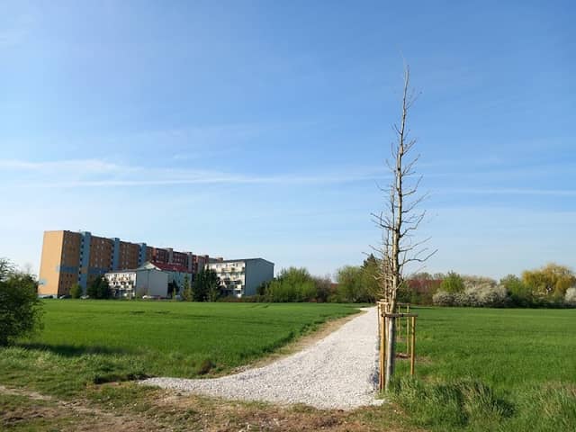 Korzo Rendez - 1. etapa - Image 1