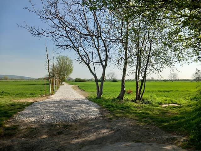 Korzo Rendez - 1. etapa - Image 2